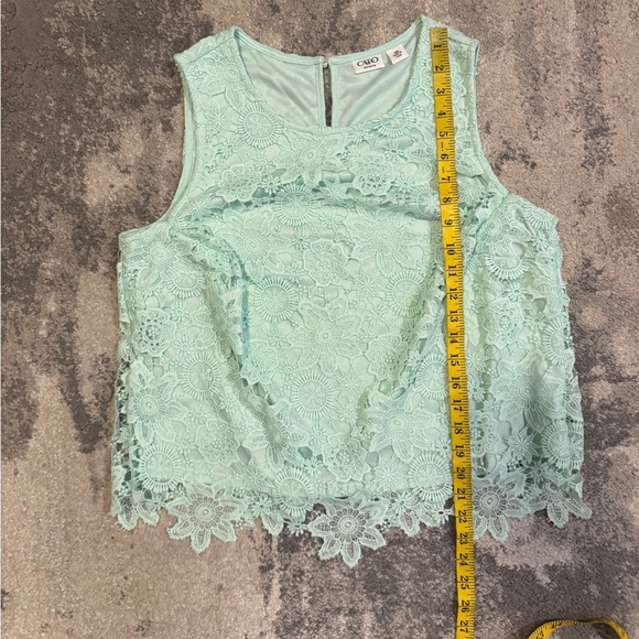 Cato Mint Lace Sleeveless Top - Picture 6 of 6
